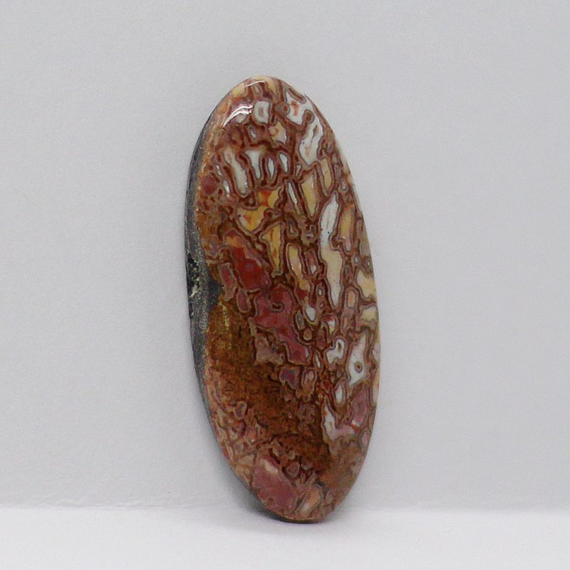 Dinosaur Bone
